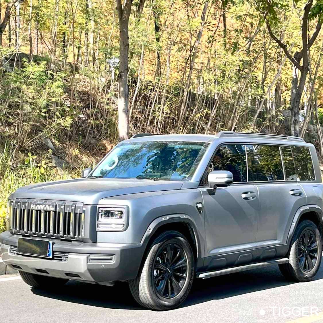 HAVAL 2025 Menglong 2.0T 4WD Ultra Automatic Transmission Used Car