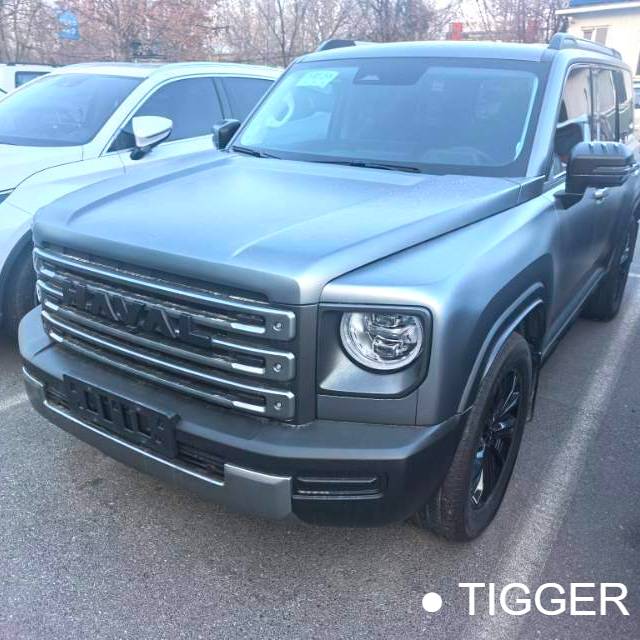 HAVAL 2024 Menglong Hi4 1.5T 145 Pro Automatic Transmission Used Car