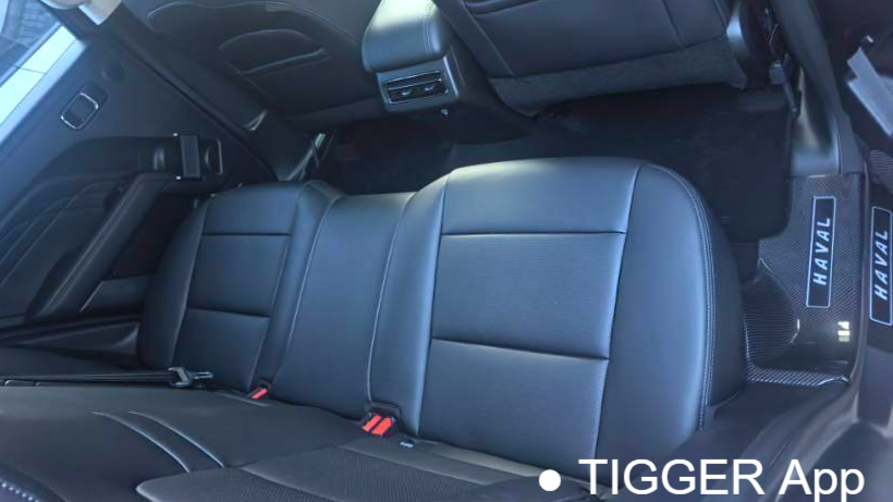 HAVAL 2024 Menglong Hi4 1.5T 145 Pro Automatic Transmission