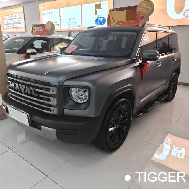 HAVAL 2024  Menglong Hi4 1.5T 102 Pro Automatic Transmission Used Car