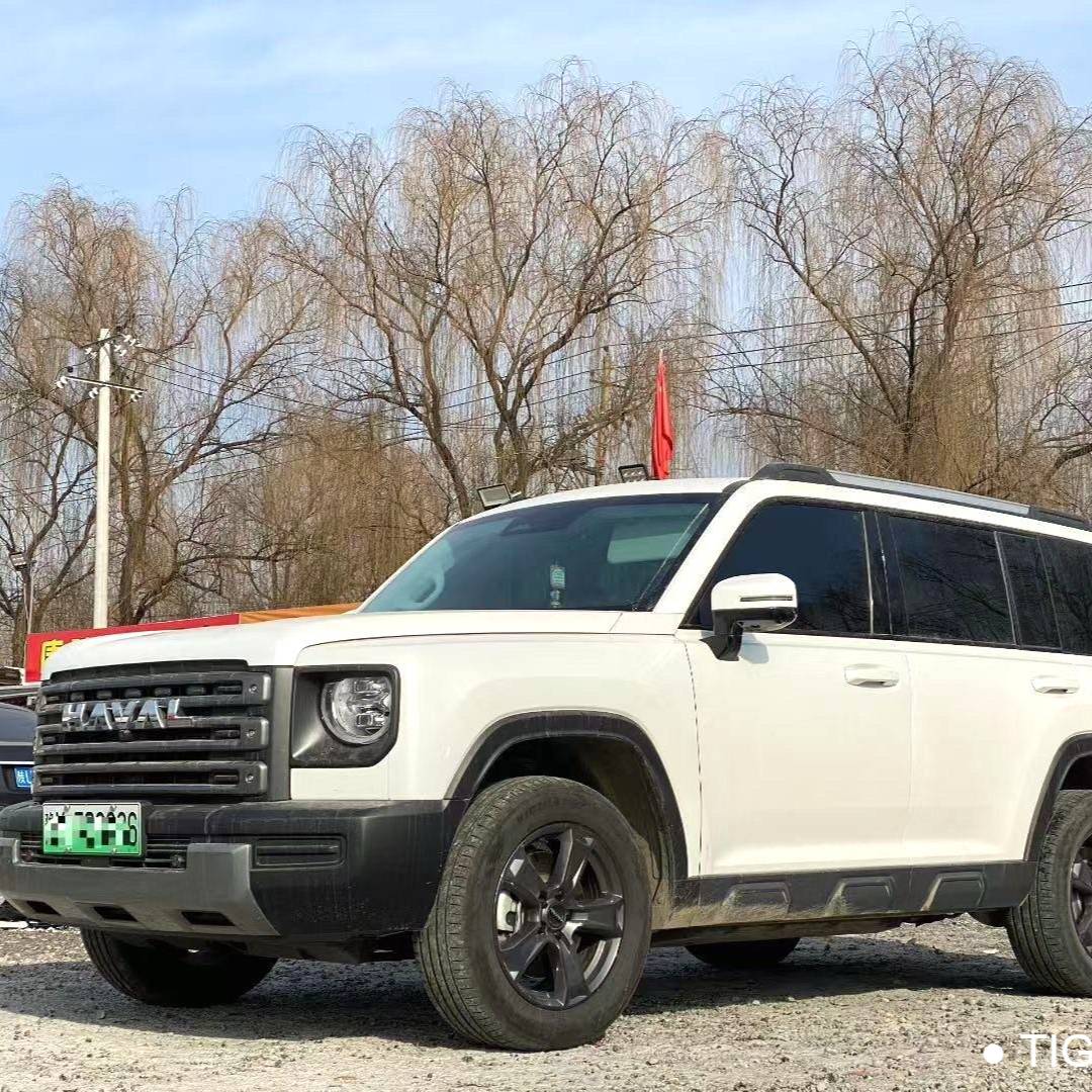 HAVAL 2023 Menglong Hi4 1.5T 102 Exploration Edition Automatic Transmission Used Car