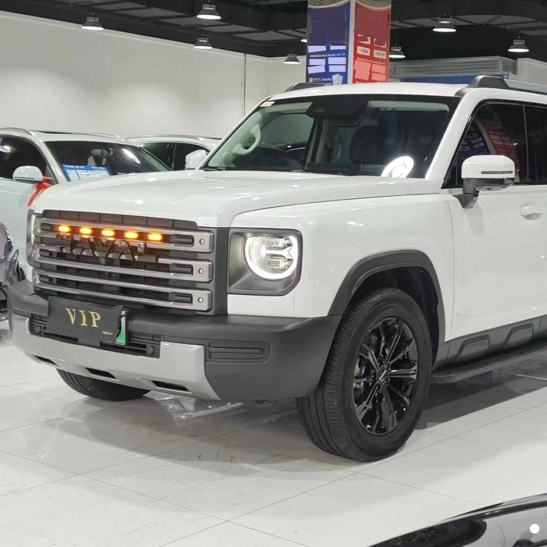 HAVAL 2024 Menglong Hi4 1.5T 102 Pro Automatic Transmission Used Car