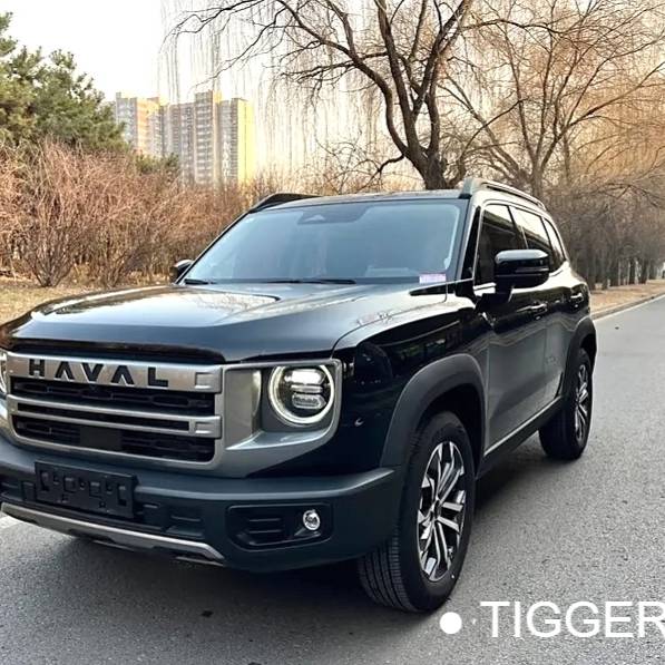 HAVAL 2024 DARGO 1.5T border collie version automatic transmission Used Car