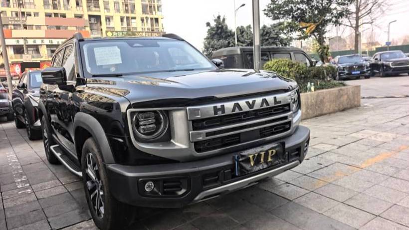 HAVAL 2024  DARGO 1.5T border collie version automatic transmission