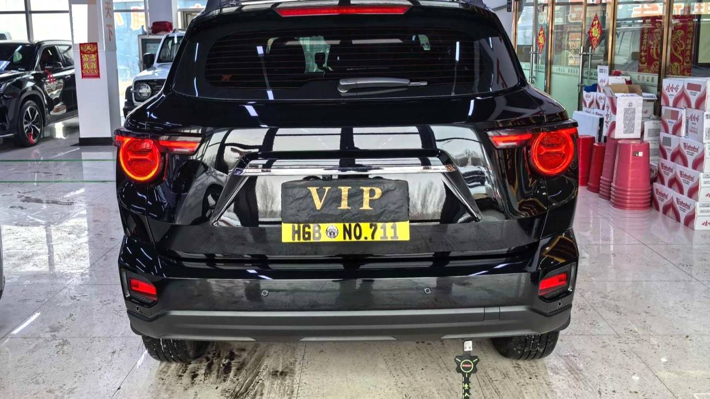 HAVAL 2023  DARGO 1.5T Two wheel Drive Trendy Wild Edition Plus Automatic Transmission