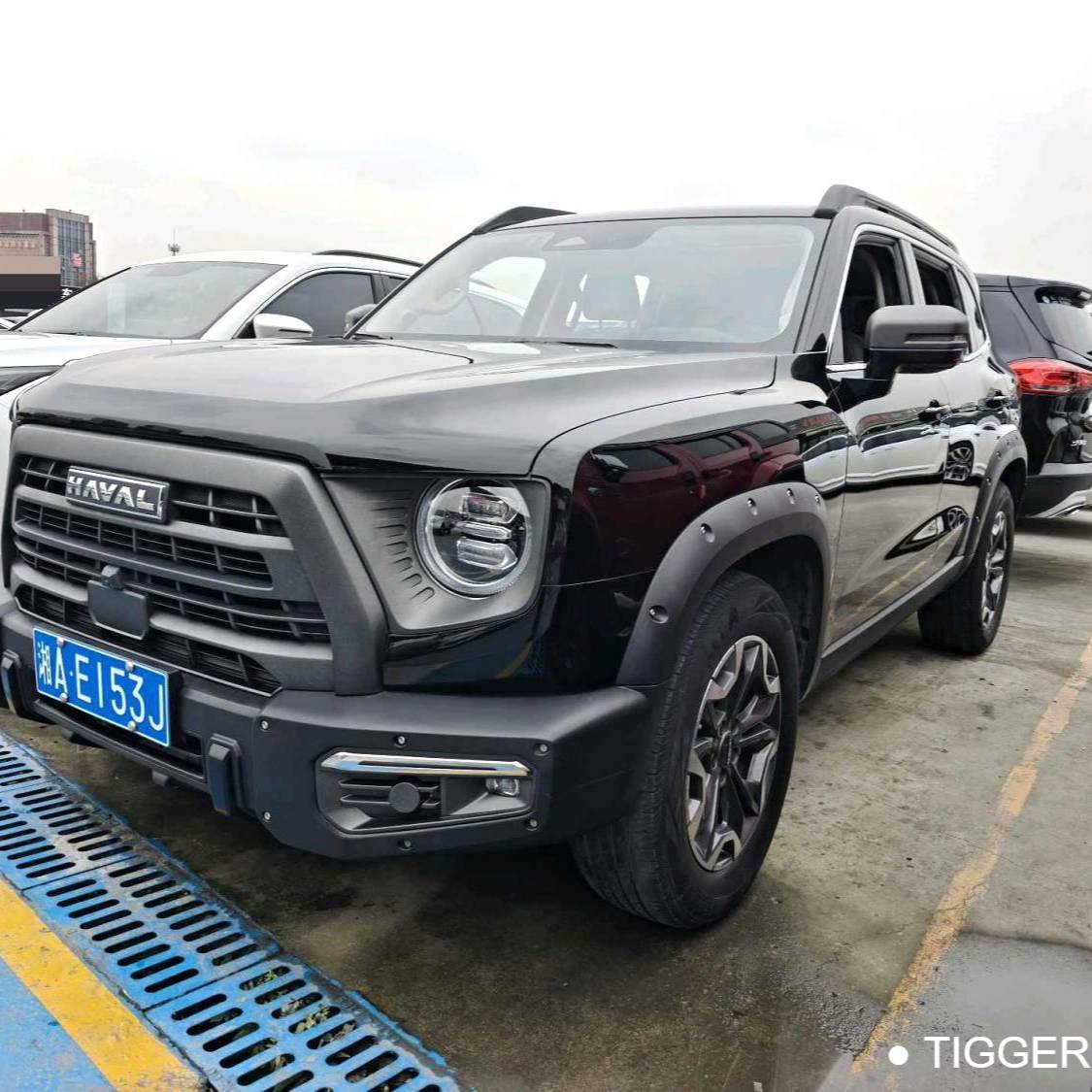 HAVAL 2024 DARGO 2.0T Chinese Countryside Dog Edition Automatic Transmission Used Car