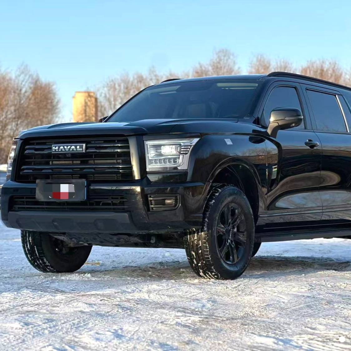 HAVAL  2025 H5 2.0T four-wheel drive diesel LinkedIn version automatic transmission Used Car