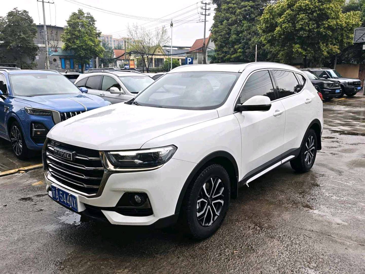 HAVAL 2023 H6 1.5GDIT Automatic Urban Edition سيارة مستعملة