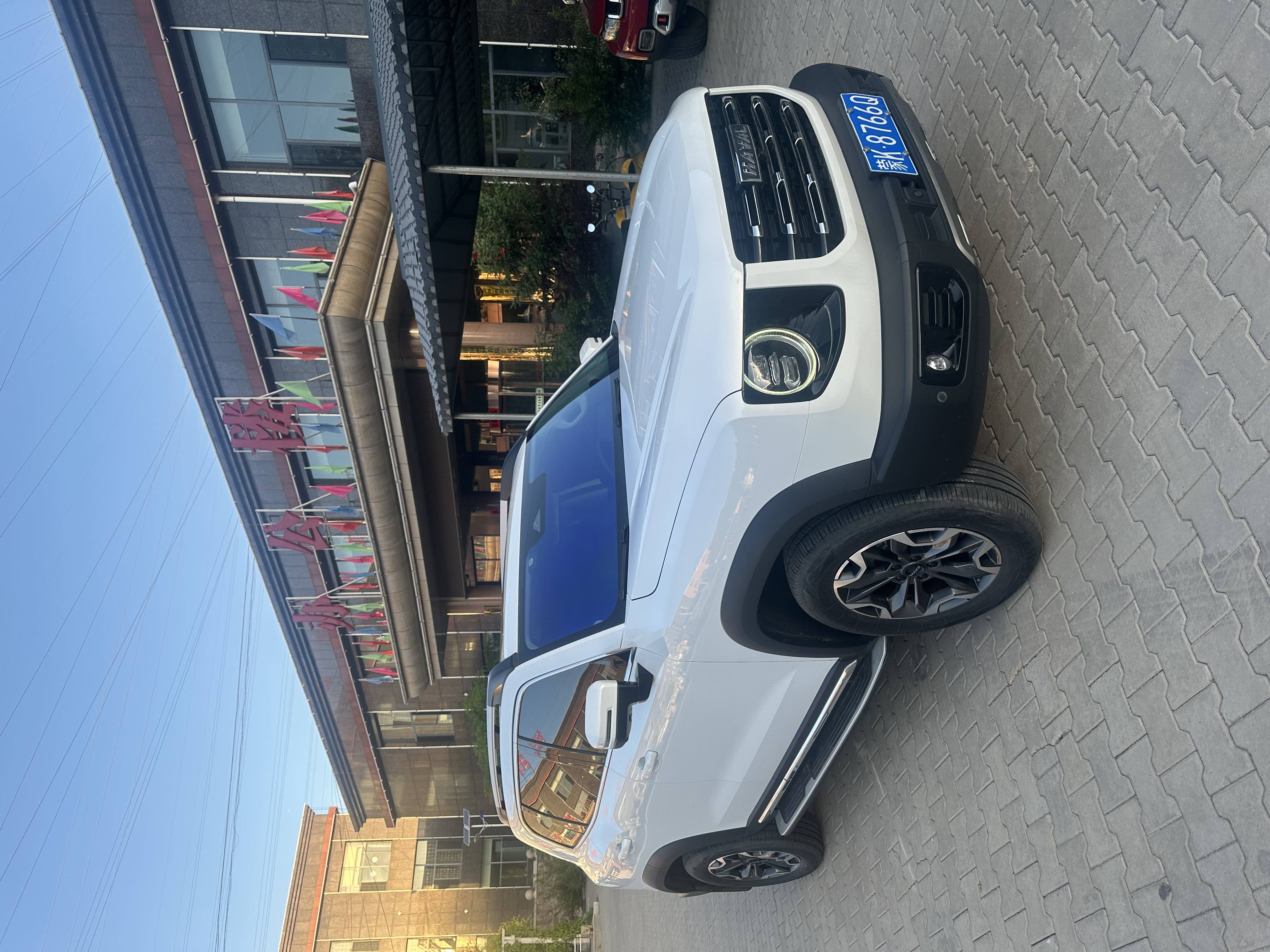 HAVAL DARGO 2022 2.0T DCT 4WD Chinese Rural Dog Edition