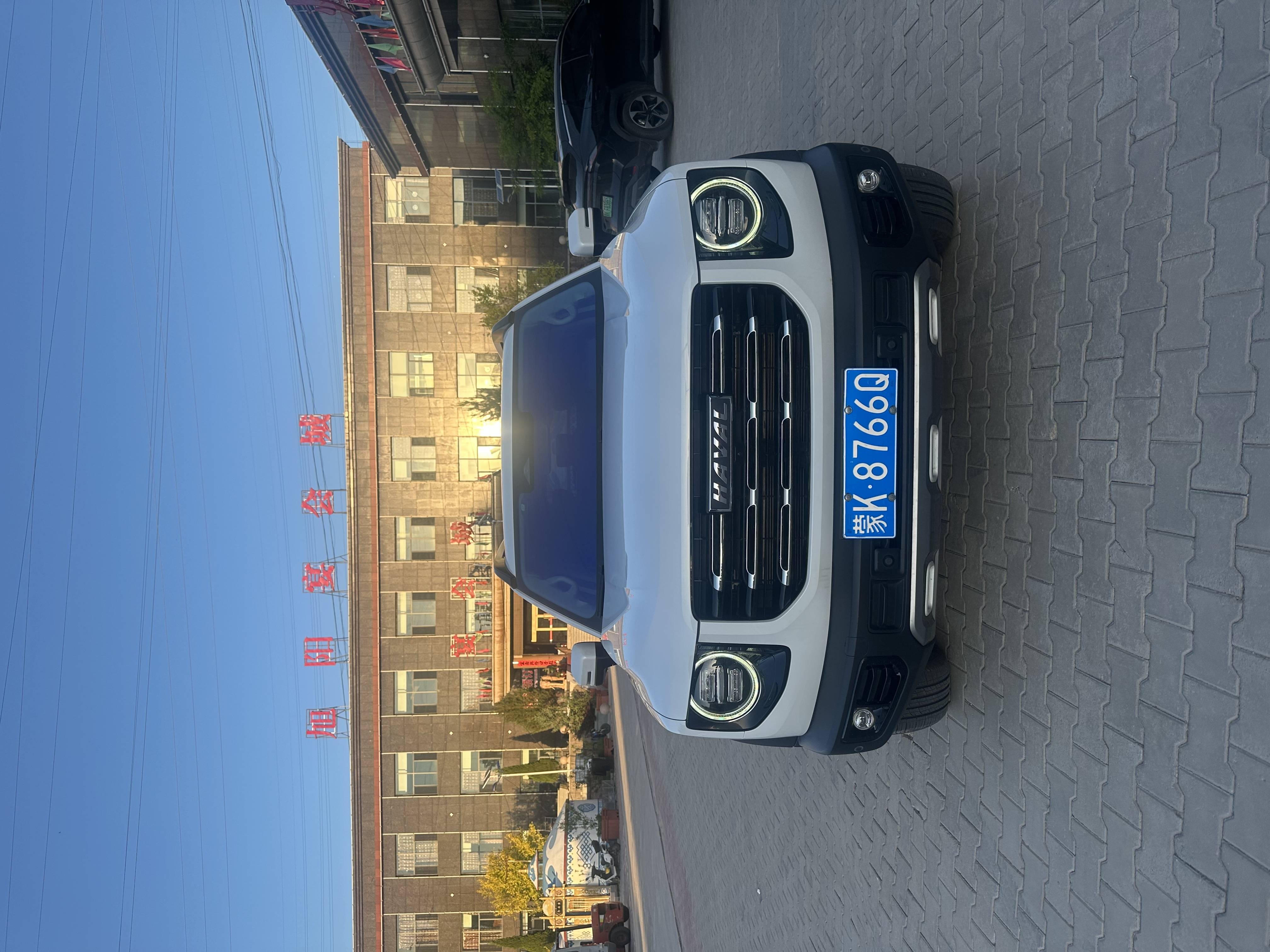 HAVAL DARGO 2022 2.0T DCT 4WD Chinese Rural Dog Edition